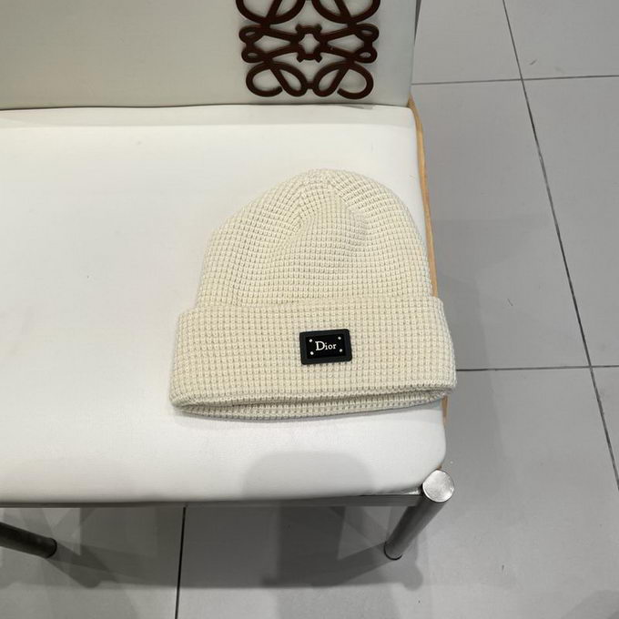 Dior Beanie ID:20260111-46